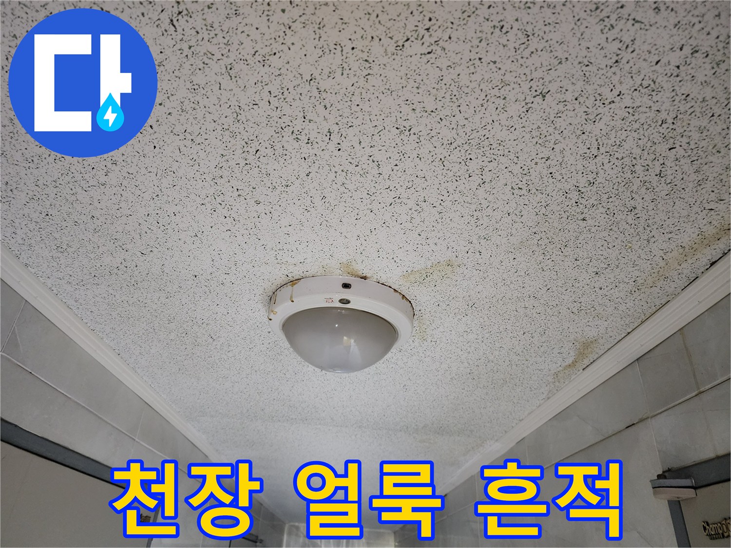 성동구 사근동 복도 천장의 물샘 흔적과 변색된 부위
