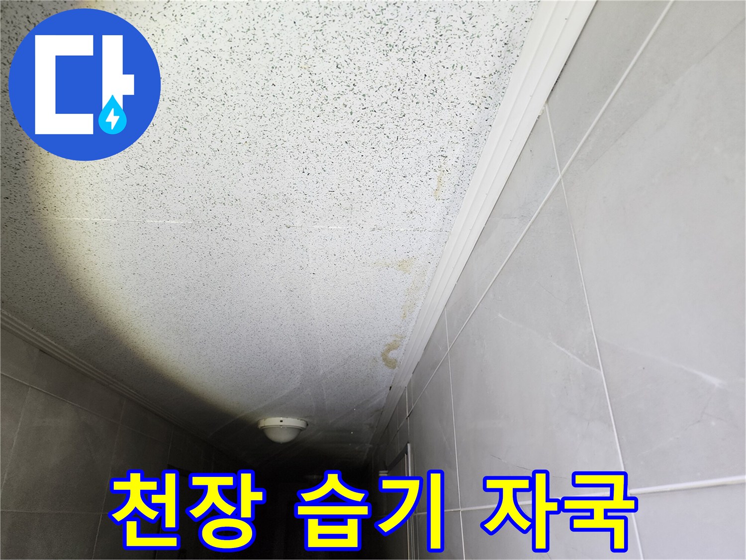 습기가 번진 복도 천장의 누수 흔적 부위