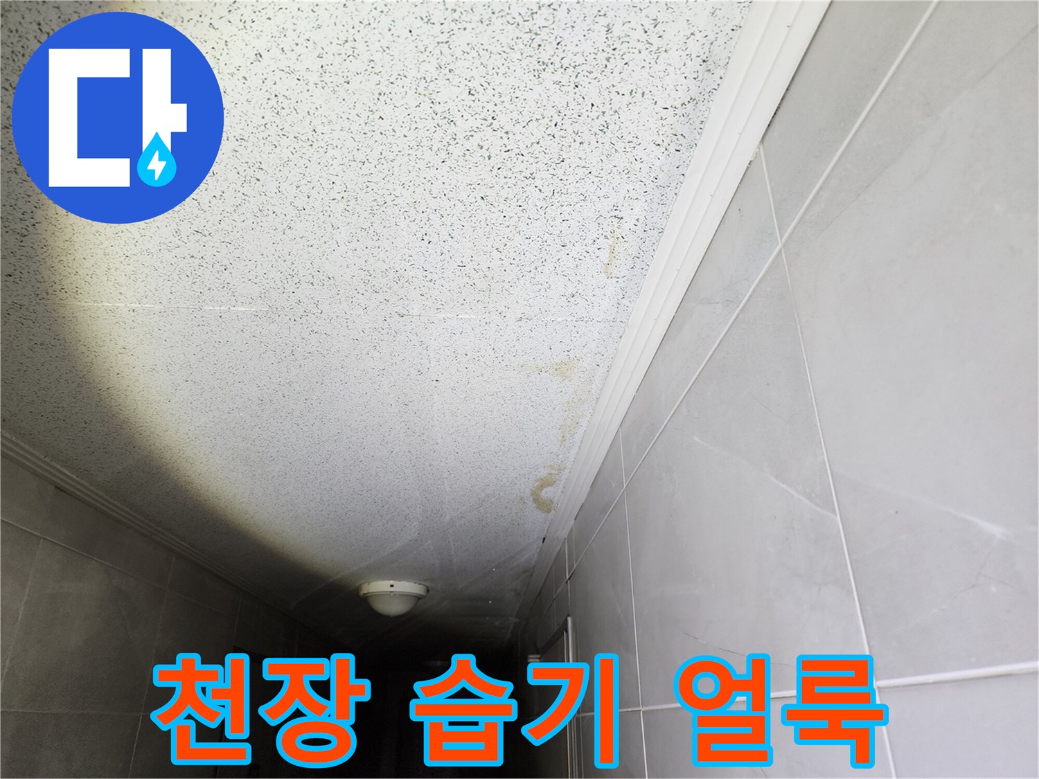 습기로 인해 변색된 복도 천장 마감재 부위