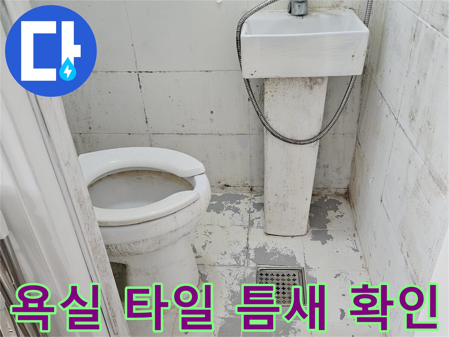 욕실-벽면-타일-및-배수구-주변-상태-촬영