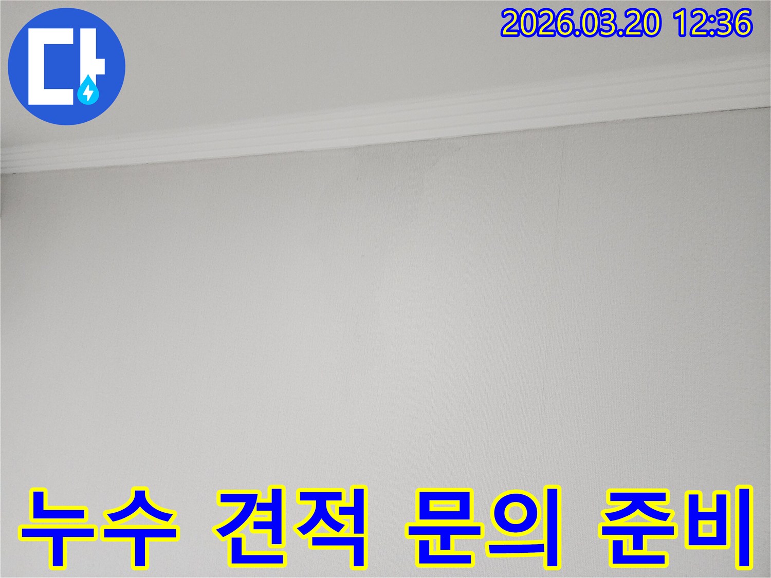 벽면-상단에-나타난-누수-흔적을-바탕으로-누수-탐지-및-수리-견적을-산출하는-모습