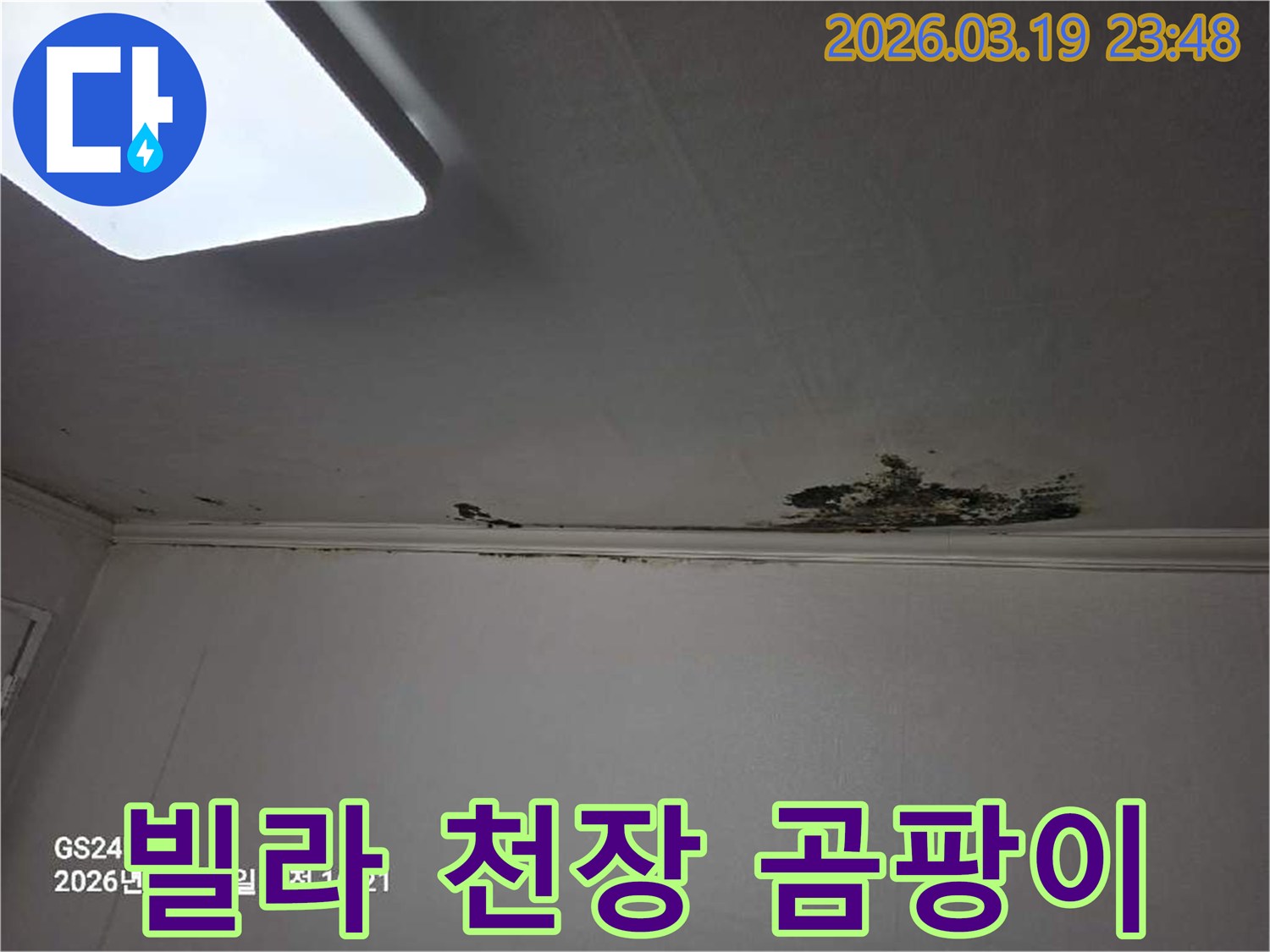 천장-모서리-부분에-누수로-인해-물얼룩과-곰팡이가-발생한-심각한-현장-사진