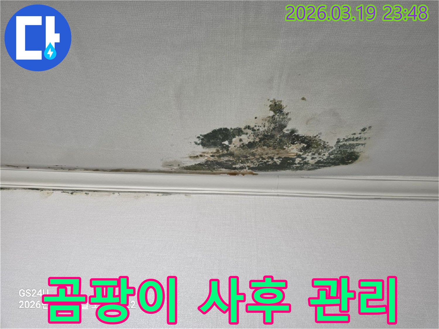 천장-벽지에-발생한-심각한-누수-곰팡이-오염-현장으로-사후-관리가-필요한-상태