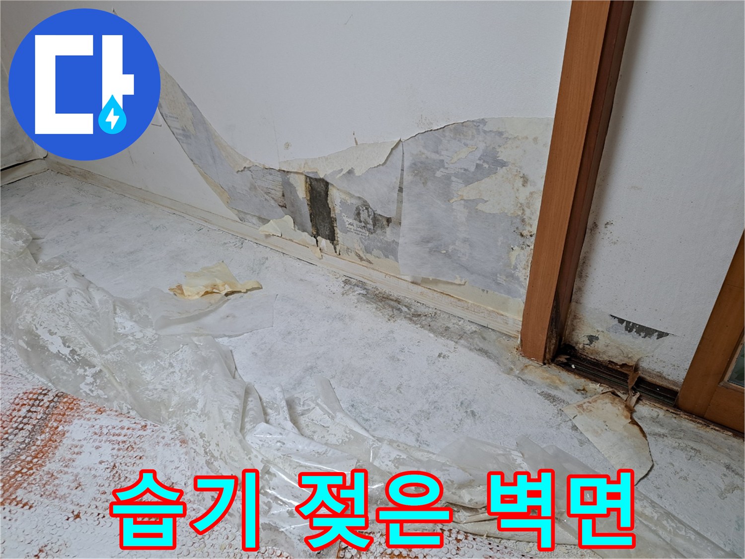 누수가 진행되어 변색된 벽면 하단 부위 - 금천구 현장