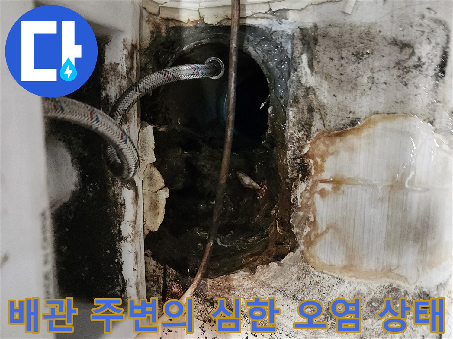 누수로 인해 변색된 배관 주변 마감재와 곰팡이