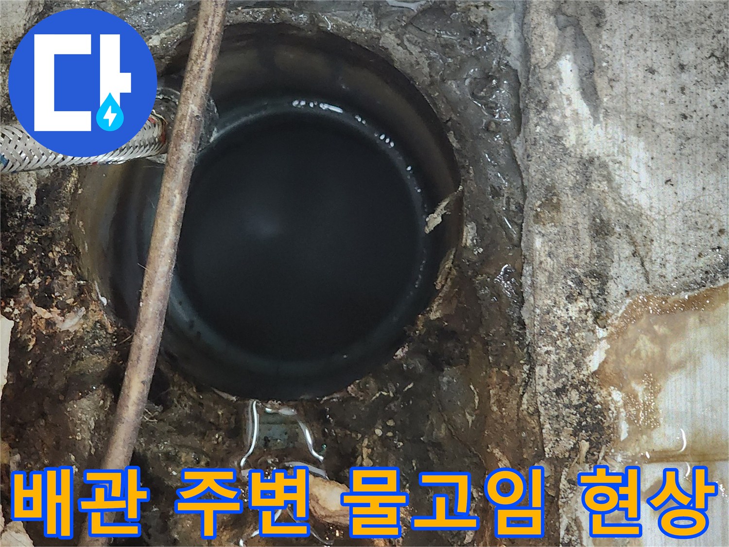 오수관 입구 근처에 고여 있는 빗물이나 누수된 물