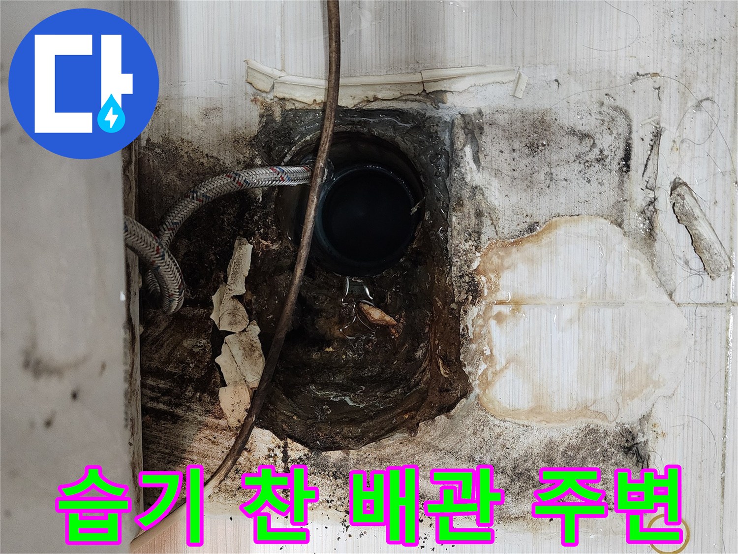 오수관 주위의 젖은 흙과 노후된 배관 상태