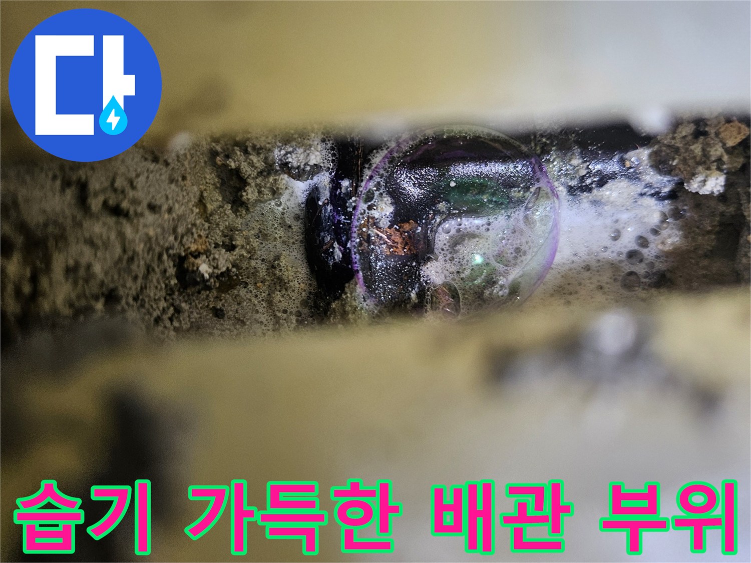 배관 주위의-습기가 머무는 흙과 자재