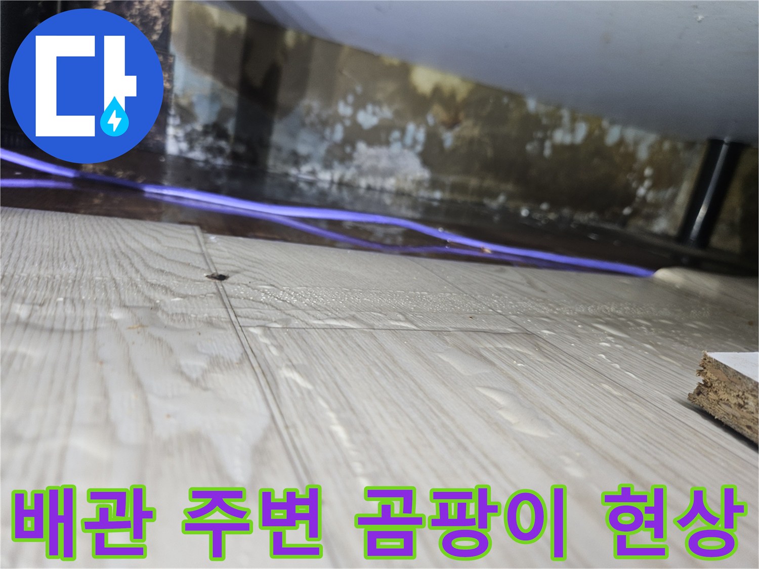 습기로-오염된-싱크대-하부-벽면