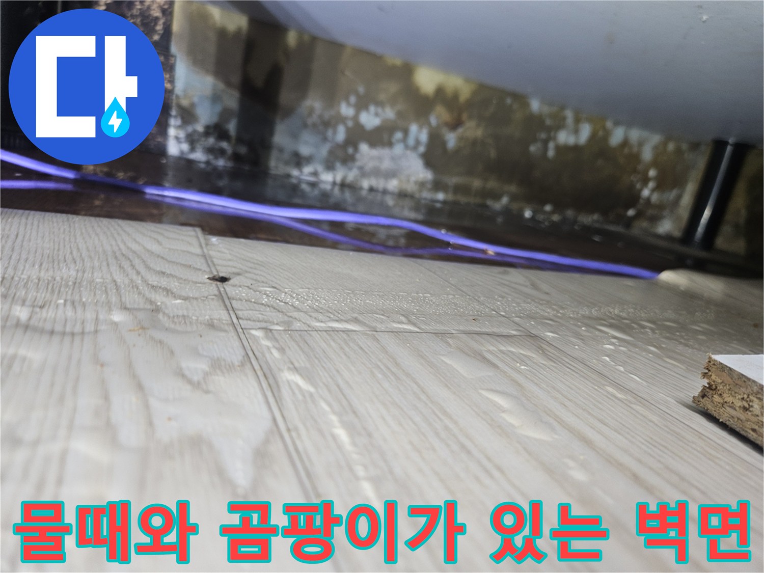 습기로-오염된-싱크대-하부의-바닥재와-벽면-상태