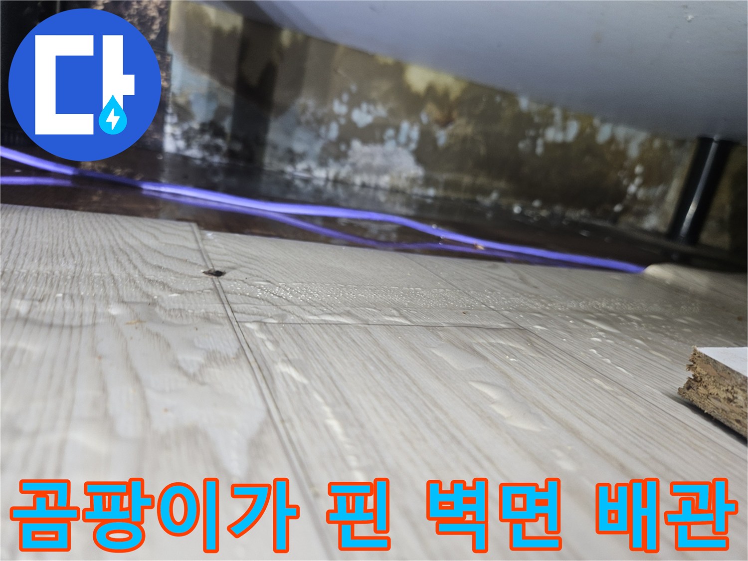 싱크대-안쪽-벽면의-곰팡이와-습기-상태