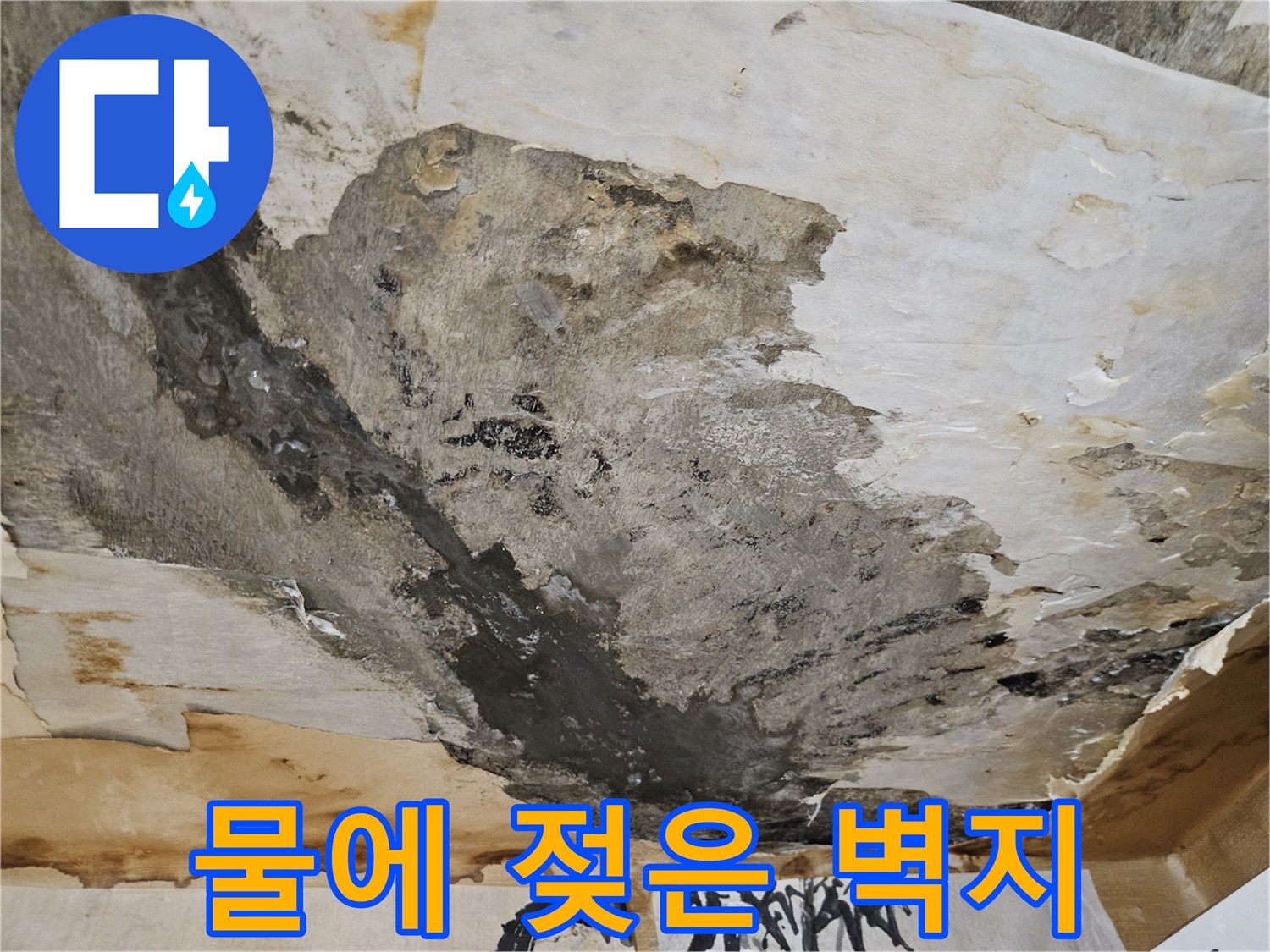 심하게 오염된-천장-벽면의-습기 상태