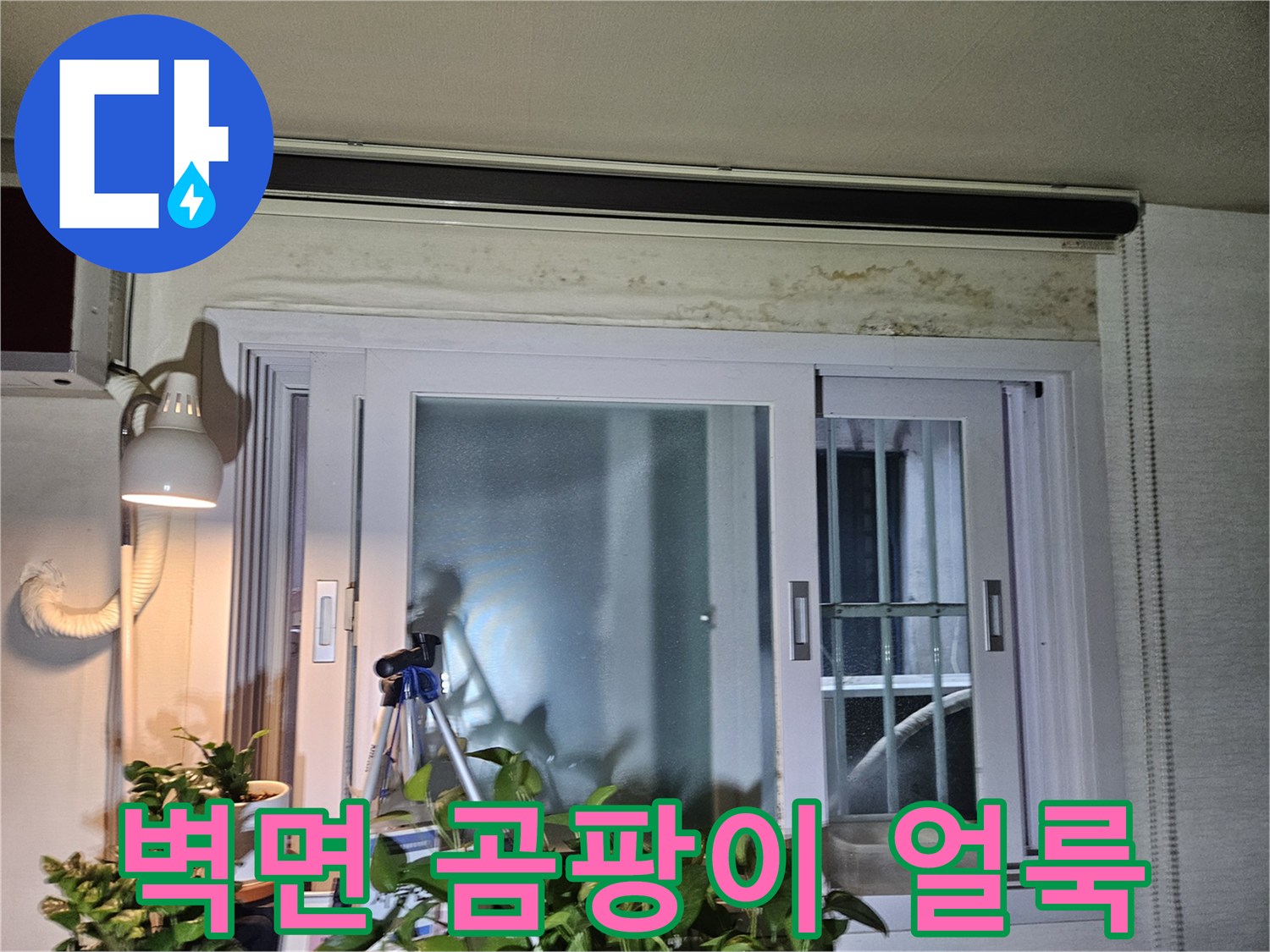 창문 상단 벽면-습기로 인한 곰팡이와 변색 현상