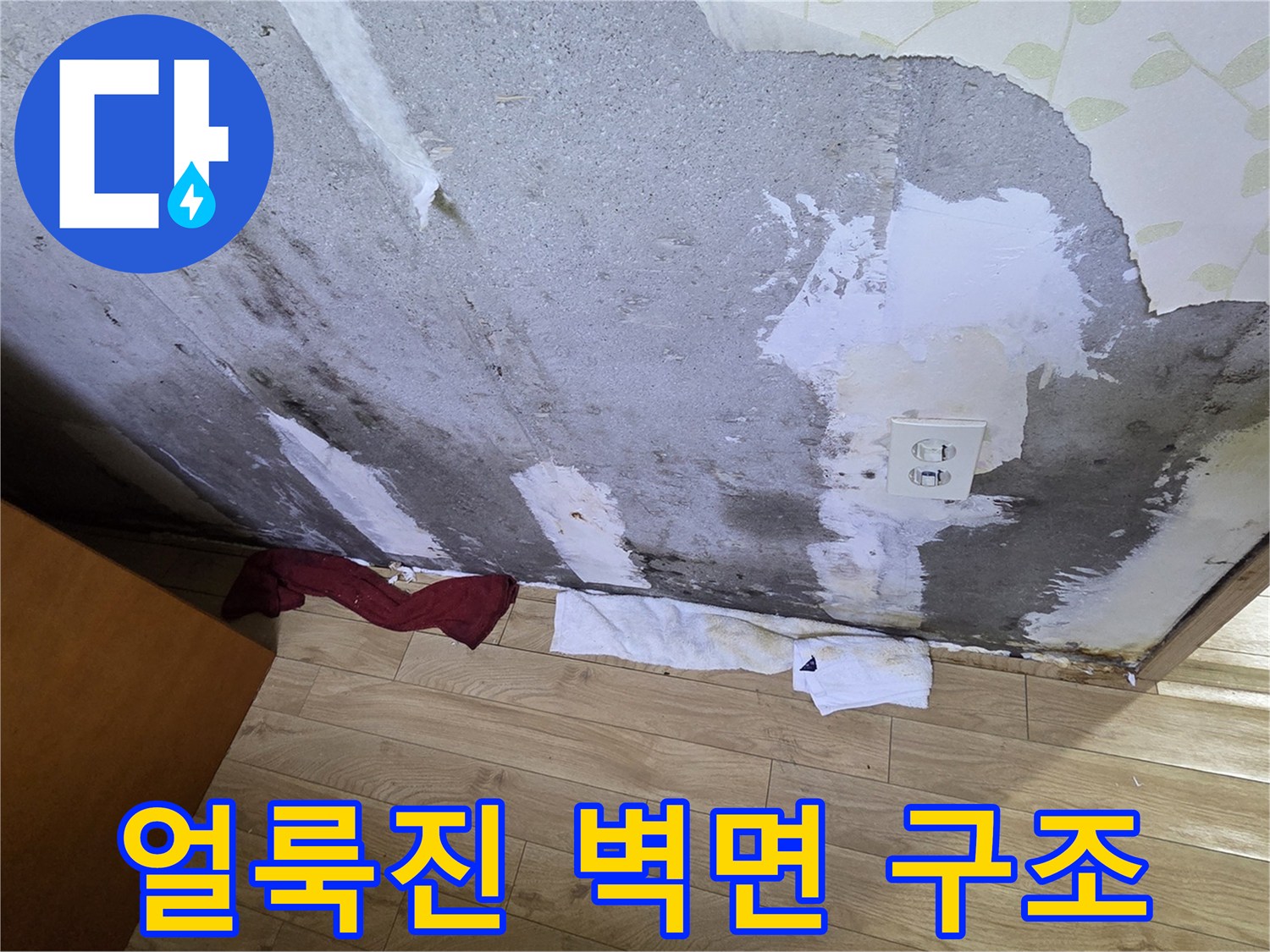 곰팡이가-발생한-콘크리트-벽체-표면
