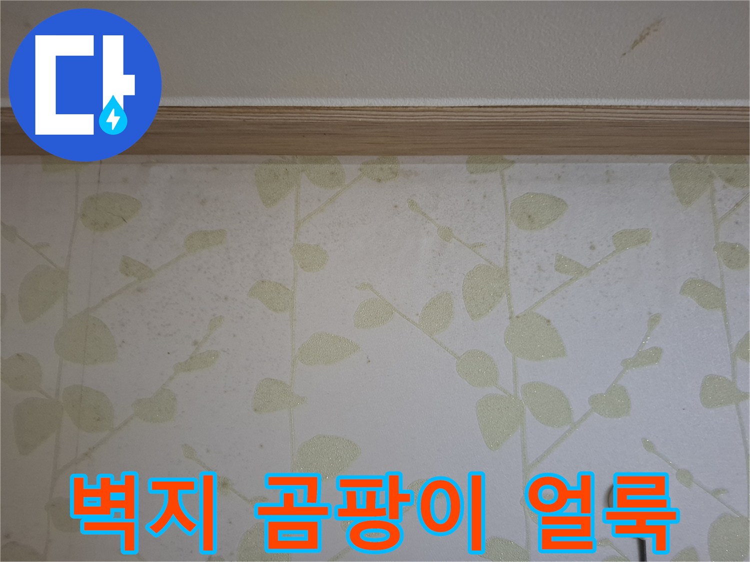 꽃무늬 벽지에 발생한 검은색 곰팡이와 습기 흔적