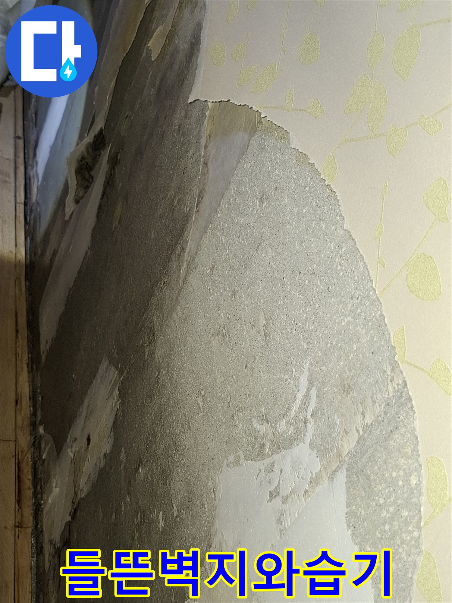 벽지가-심하게-들뜨고-내부-콘크리트가-젖어있는-상태