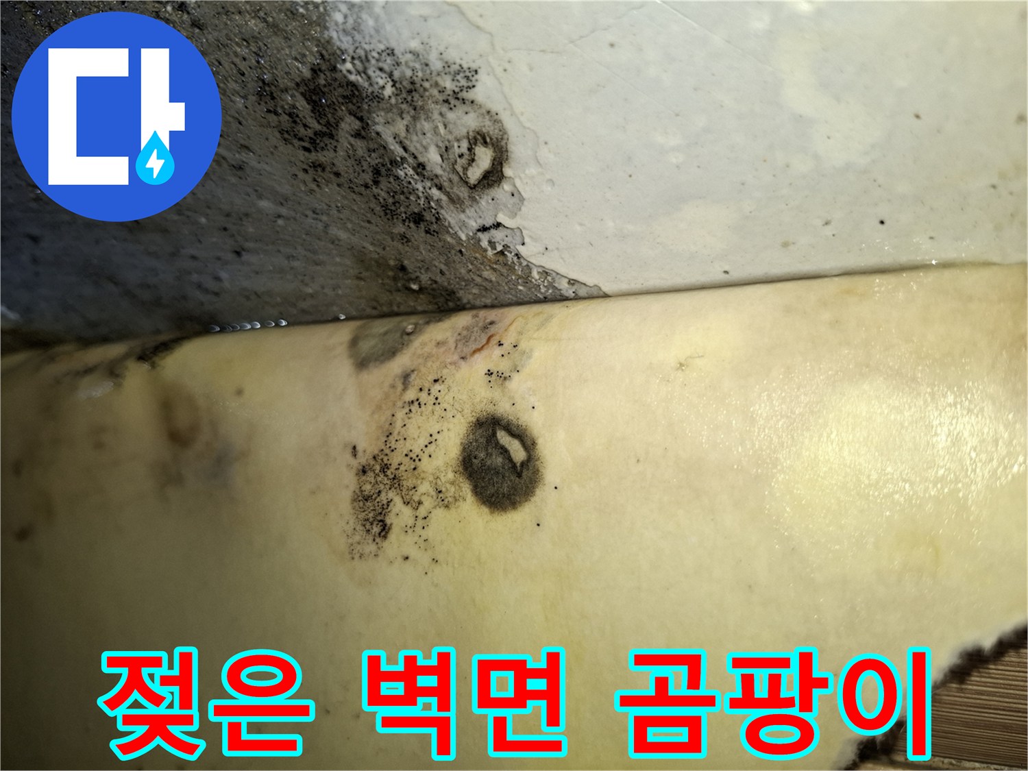 습기로 인한 곰팡이와 벽지 오염 상태