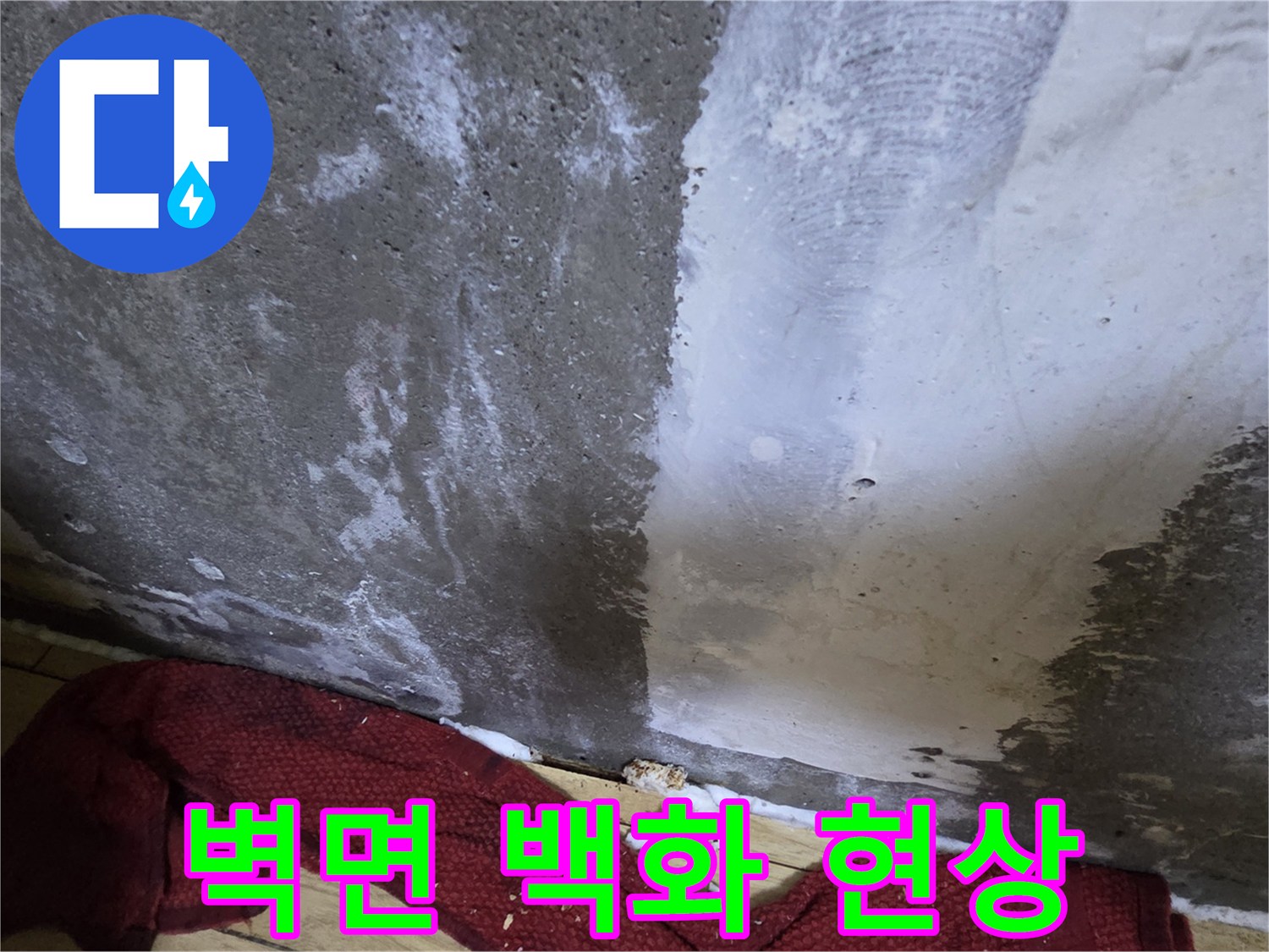 습기로 인한-콘크리트-백화 현상