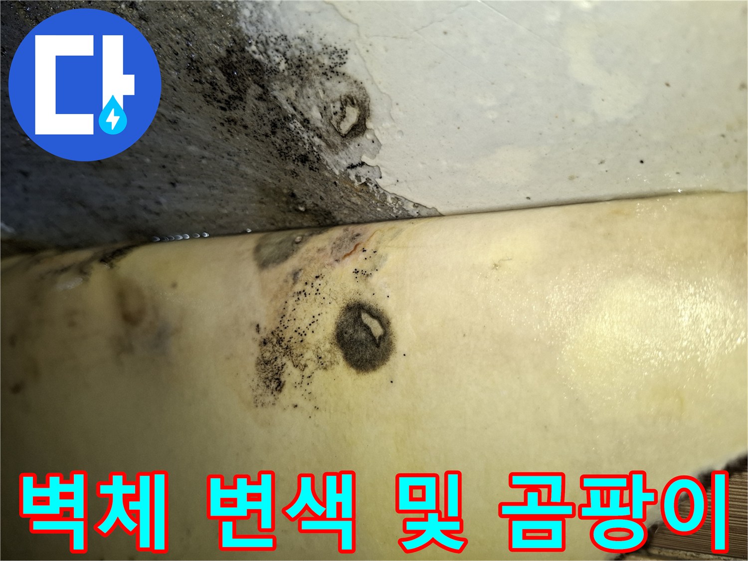 습기로 인해 변색된 벽면 마감재와 곰팡이
