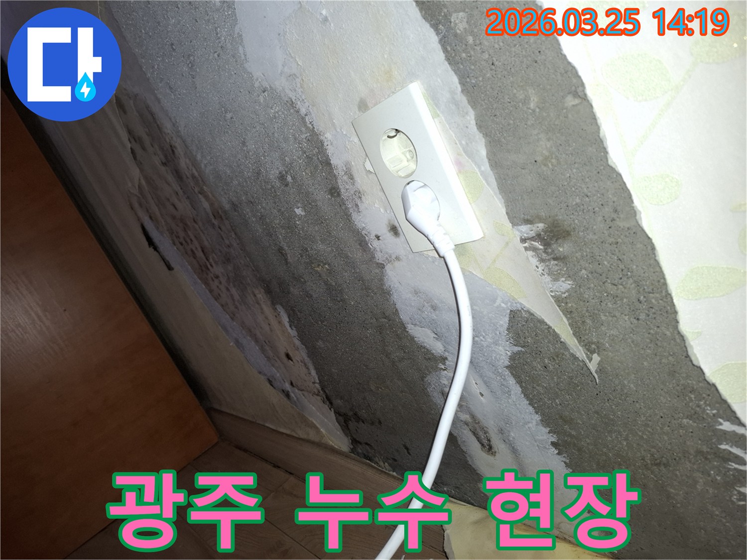 오래된-벽지에-습기가-차서-벗겨지고-벽면-전체에-곰팡이가-퍼진-누수-문제-현장