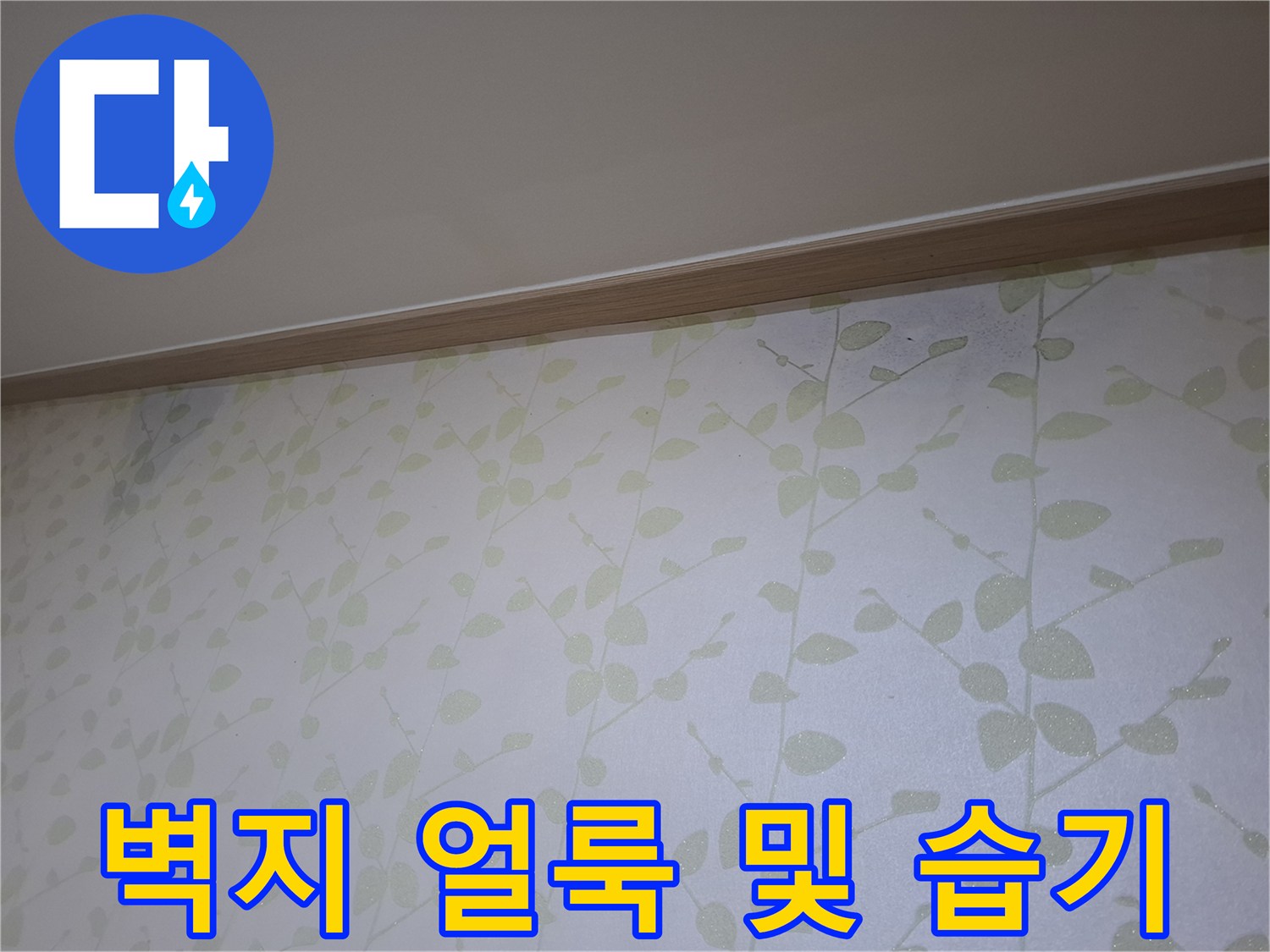 잎무늬 벽지에 발생한 어두운 얼룩과 습기 흔적