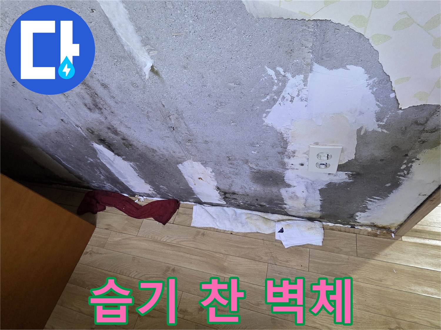 축축하게-젖어있는-콘크리트-노출-부위