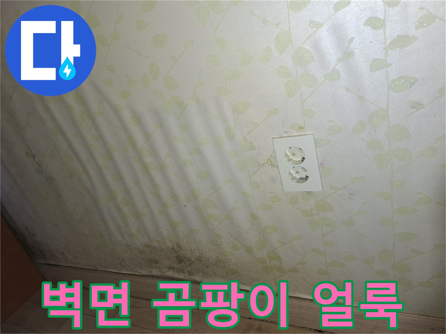 콘센트 주변-심한 습기와 곰팡이가 발생한 벽지