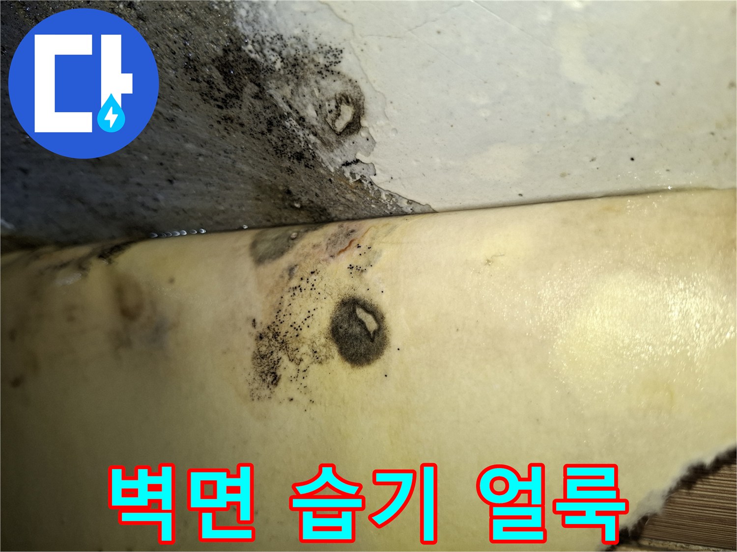 콘크리트 면에 발생한 젖은 자국과 곰팡이