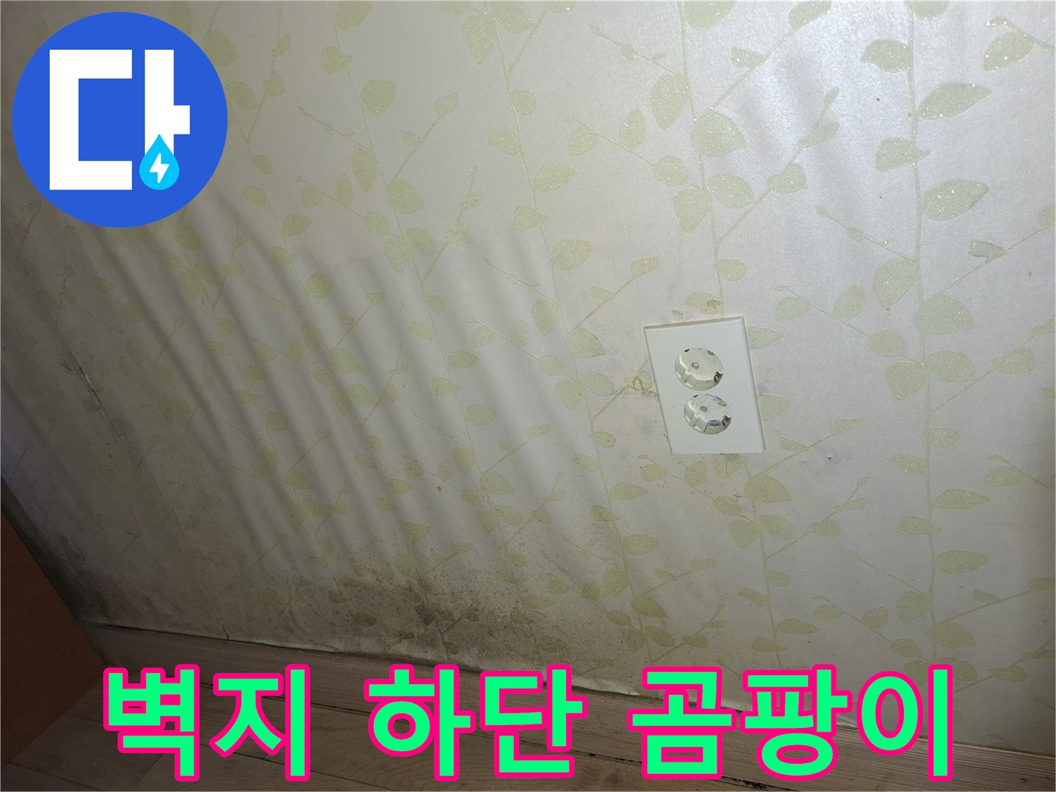 풀잎무늬-벽면-하단부-오염된-상태