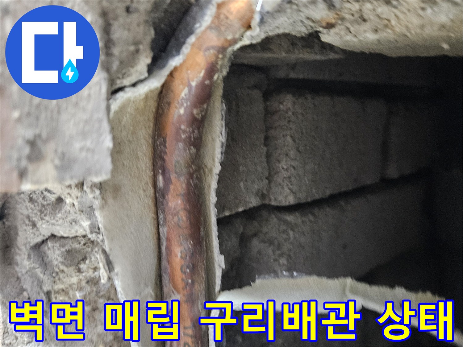 양천구-목동 현장-매립된-구리 배관의 손상 부위 확인