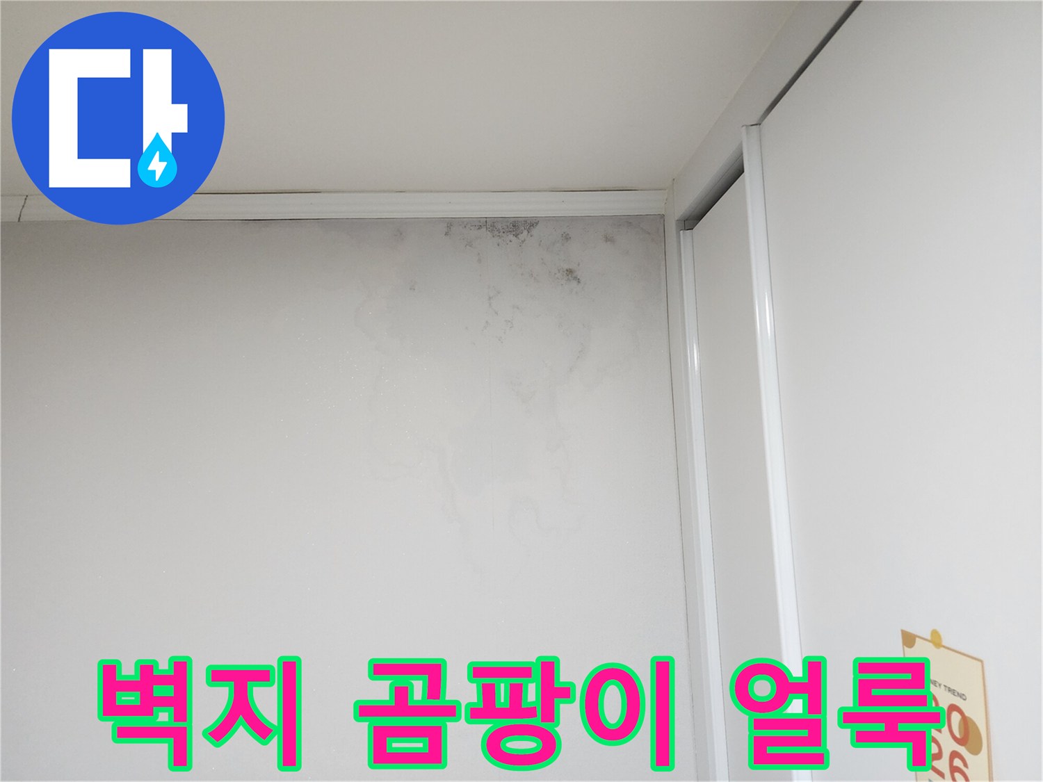 도봉구 아파트 벽면에 발생한 곰팡이와 습기 흔적