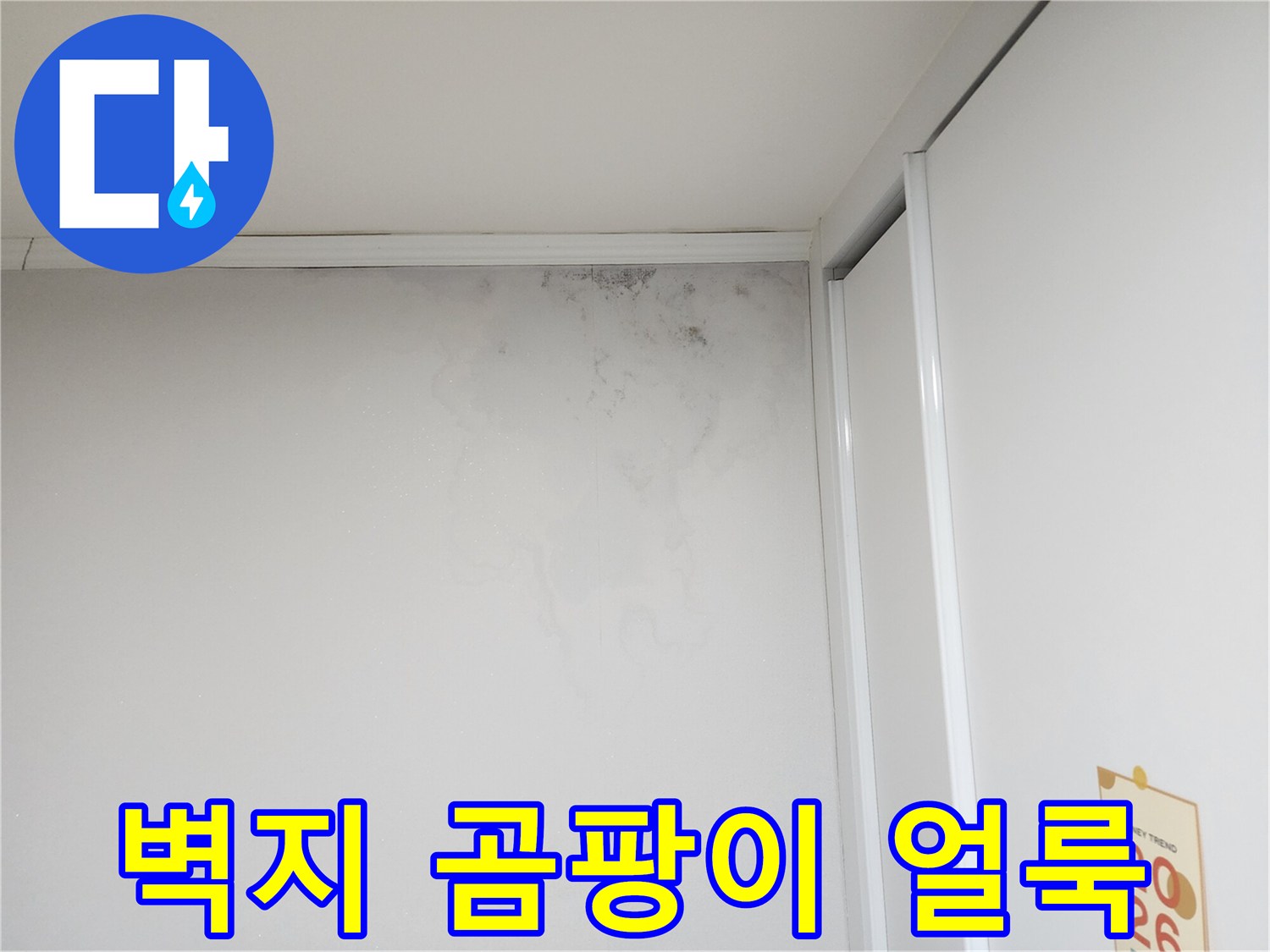 벽지 상단부-물 침투로 인해 발생한 곰팡이 흔적