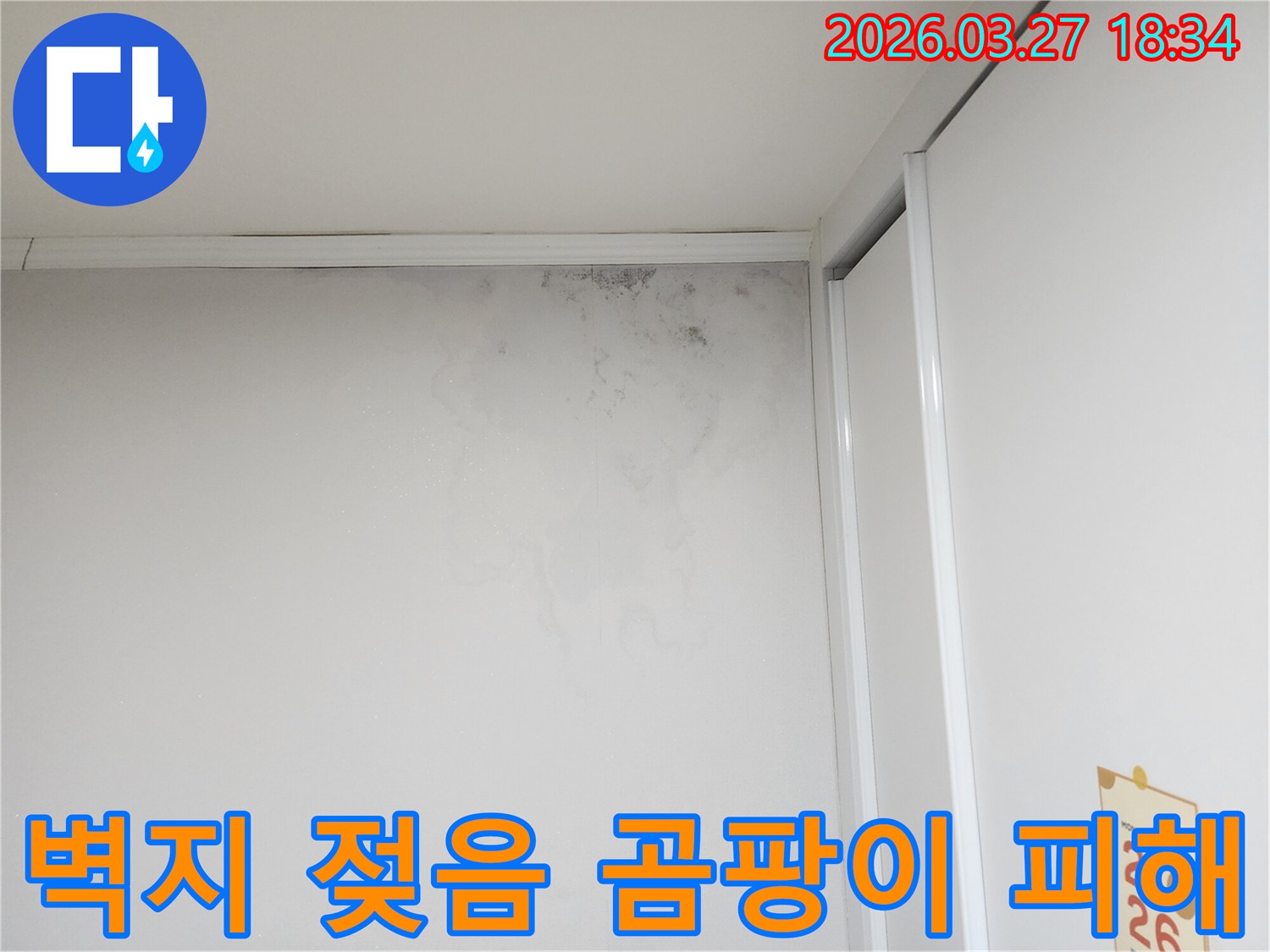 벽지-상단에-누수로-인해-젖어-있고-곰팡이가-피어난-모습을-촬영한-사진입니다