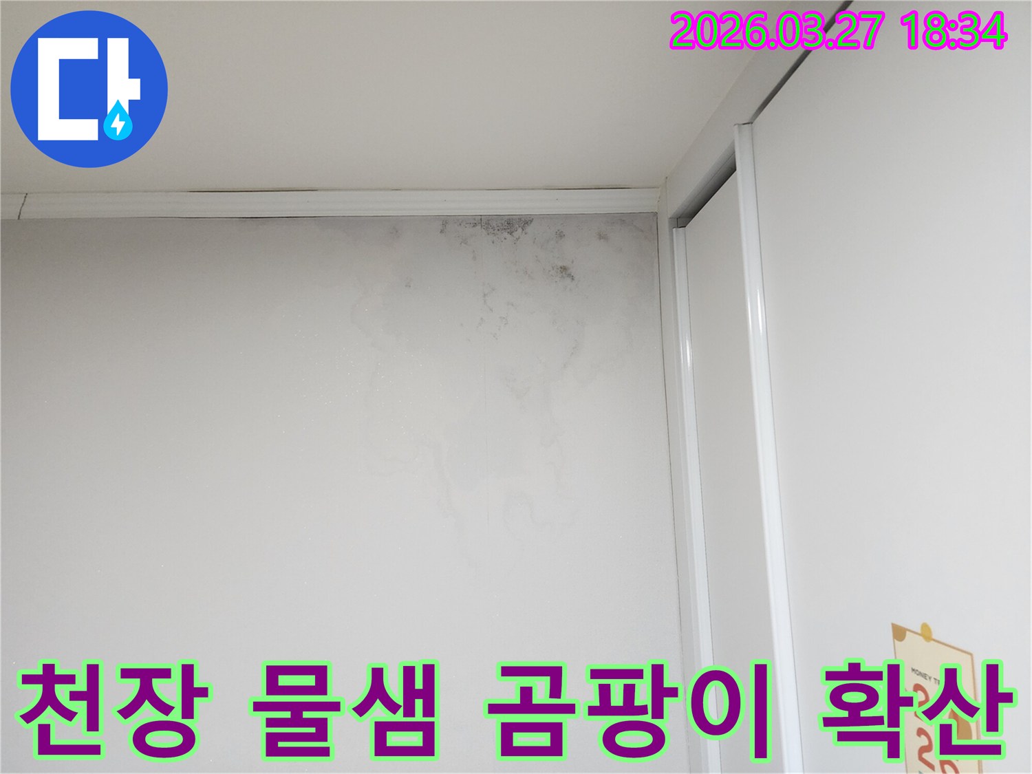 천장-근처-벽면에-발생한-물샘-자국과-심각한-곰팡이-오염-모습을-촬영한-사진입니다