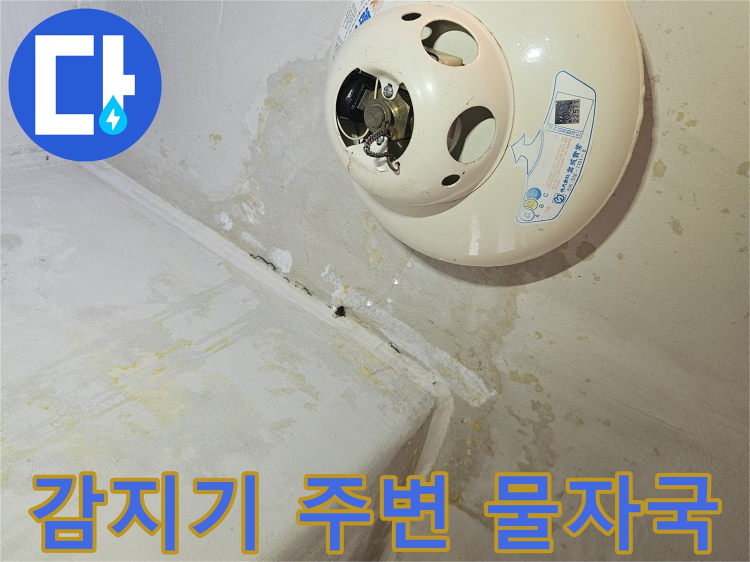 천장-감지기-주변의-축축한-얼룩