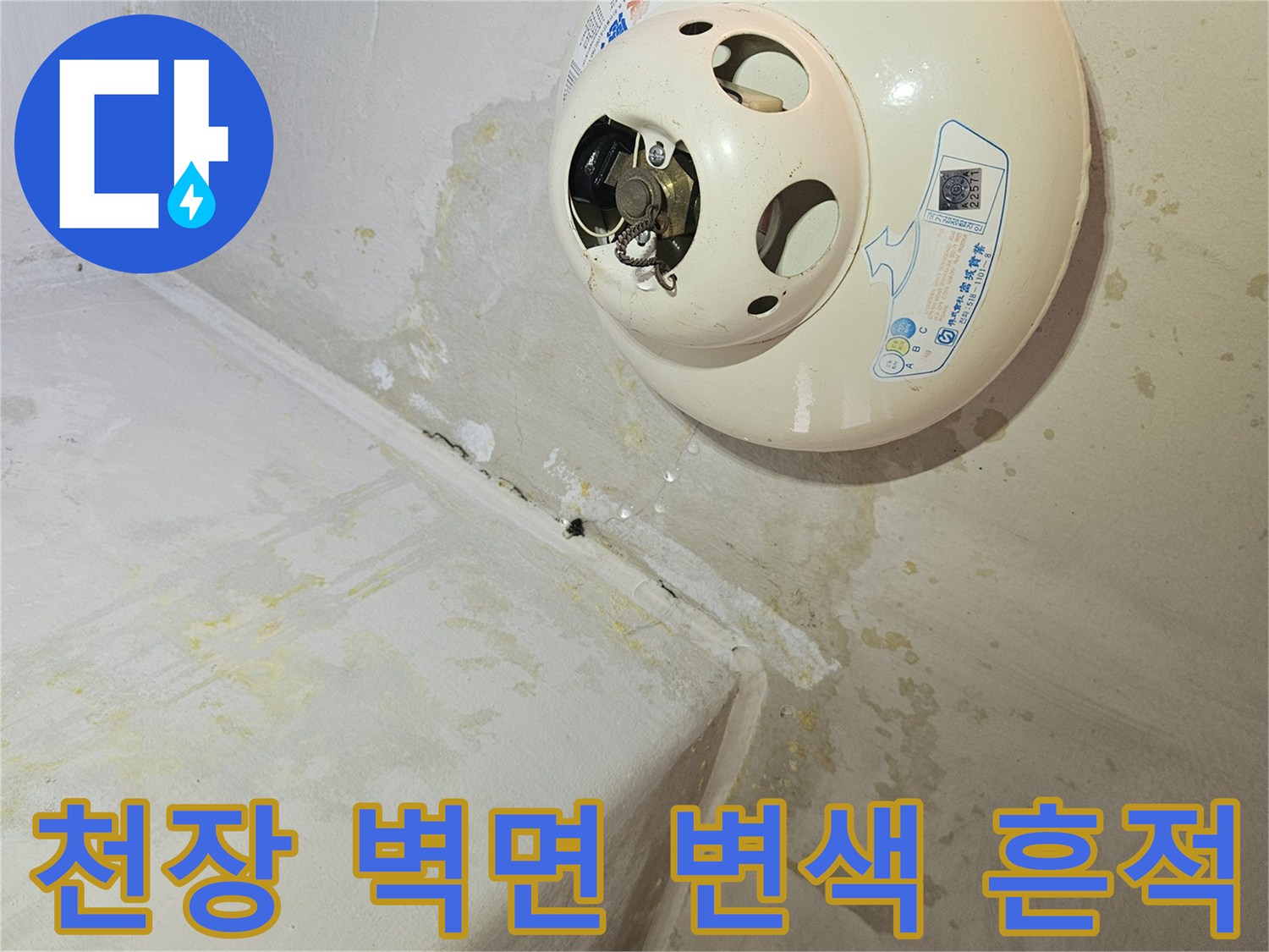 천장-벽면-모서리-습기-변색-상태