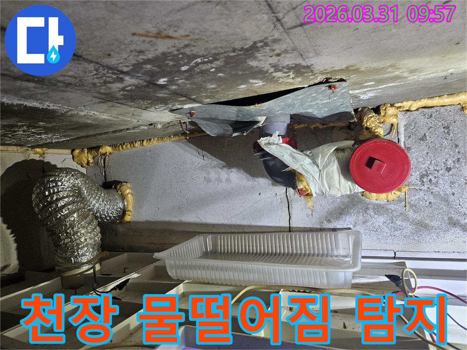 아파트 천장에서 물이 떨어지는 현장-누수 지점을 정확히 탐지하는 모습