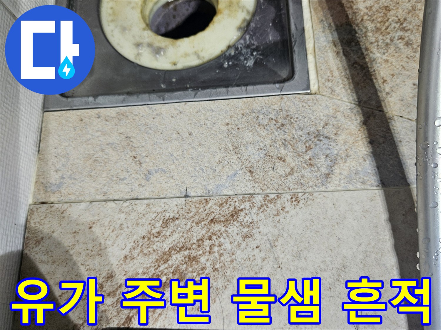 화장실-배수구-주변의-젖은-타일-마감