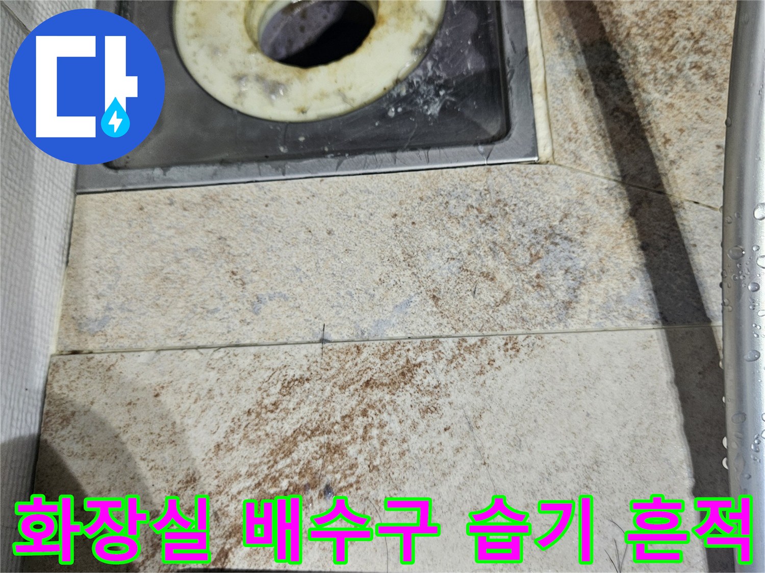 화장실-배수구-주변의-젖은-흔적과-오염된-타일