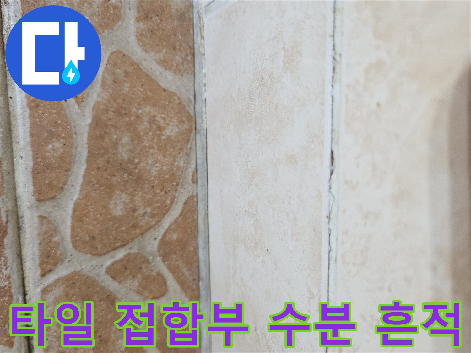 벽면 타일과 바닥재 경계의 젖은 상태 사진