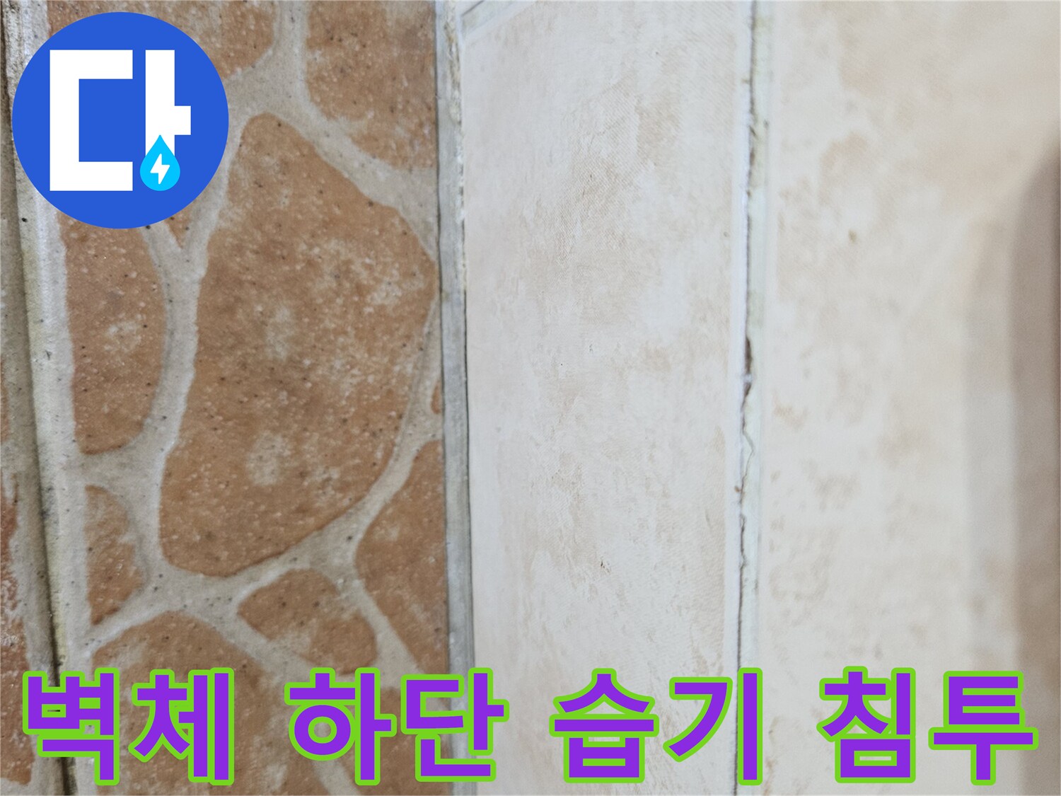 타일 경계면의 수분 머금음 현상 상세 사진