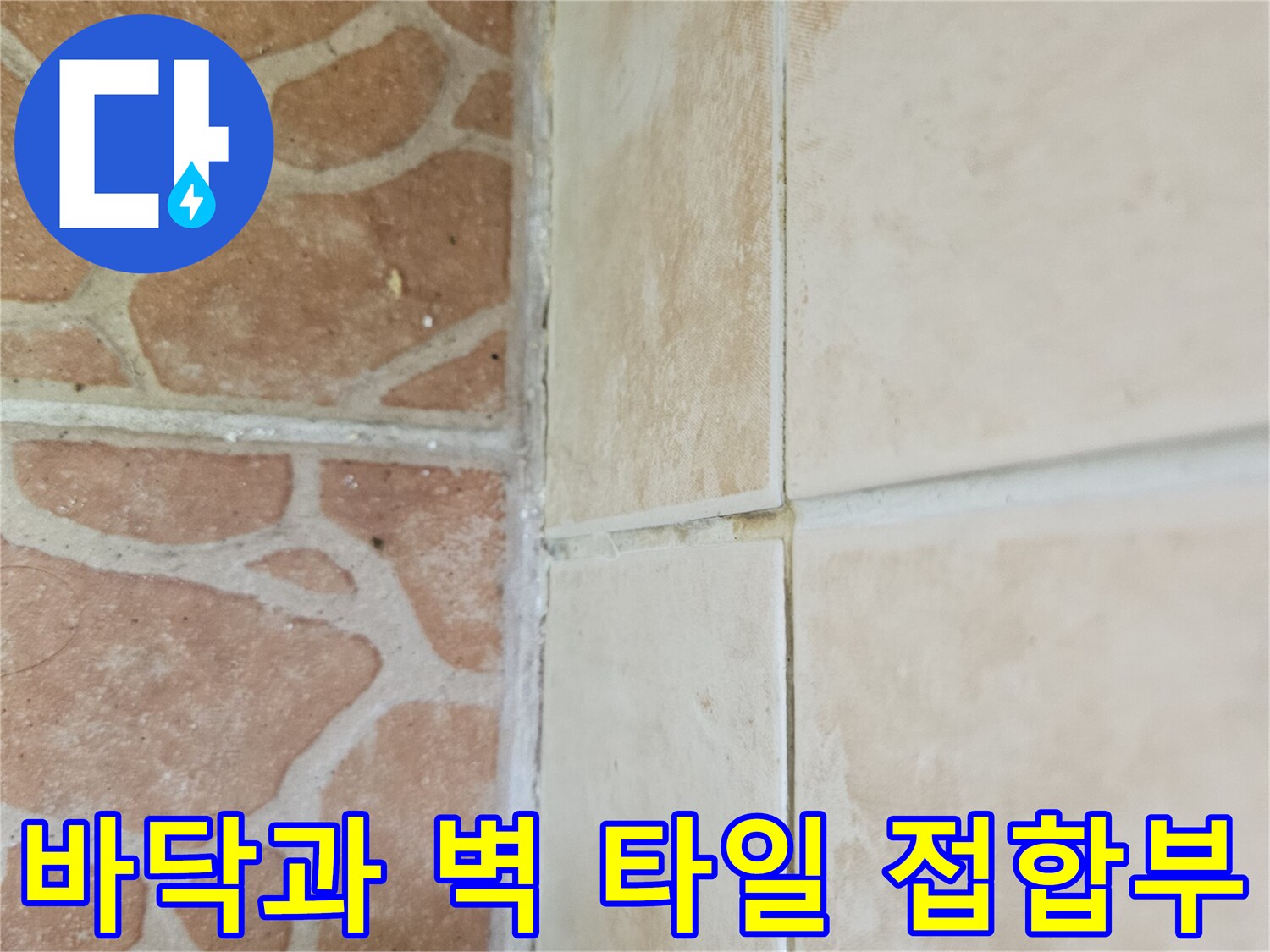 타일 경계선-물샘으로 인해 젖어 있는 줄눈