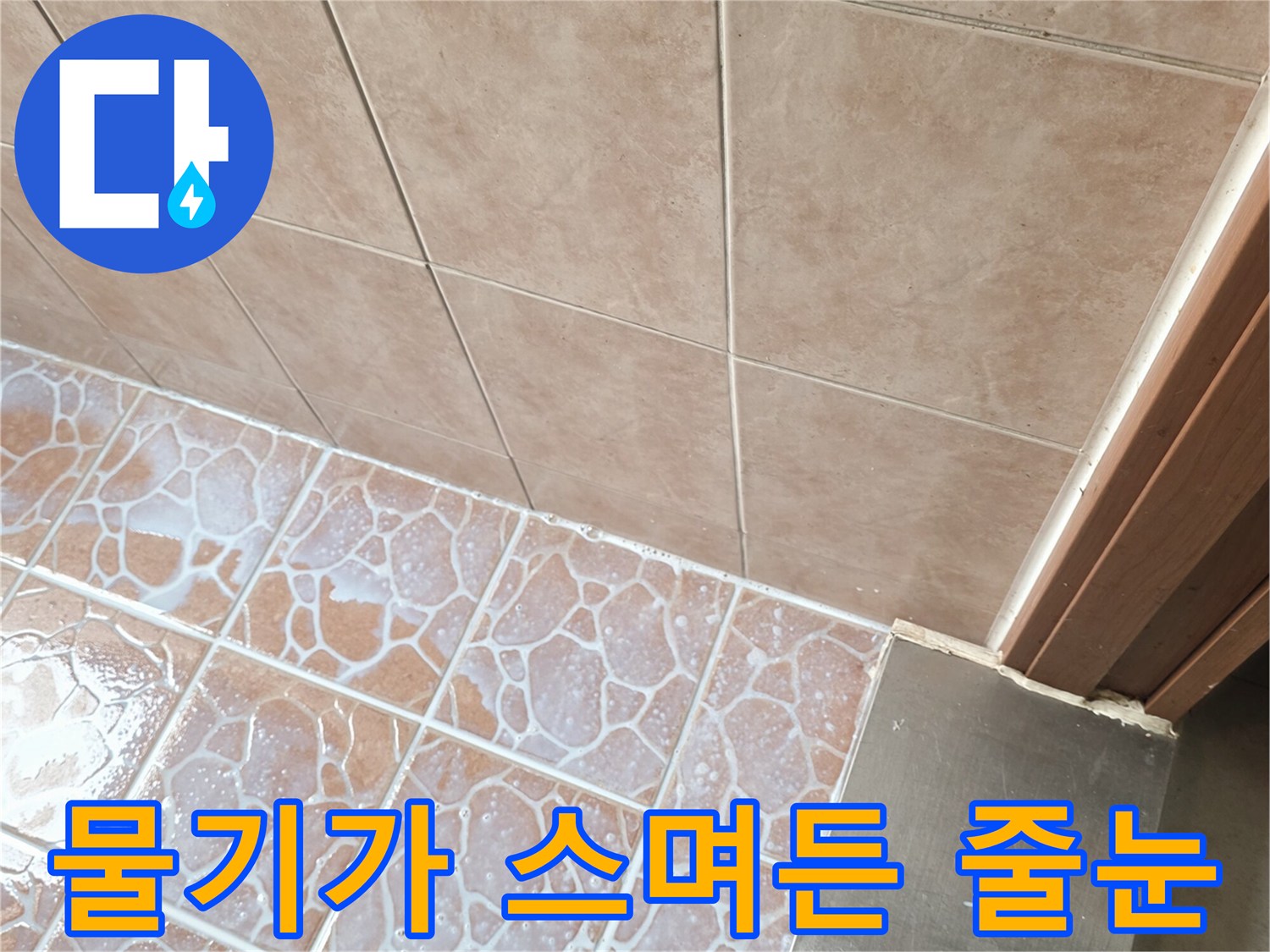 타일 틈새로 수분이 올라온 현장 사진