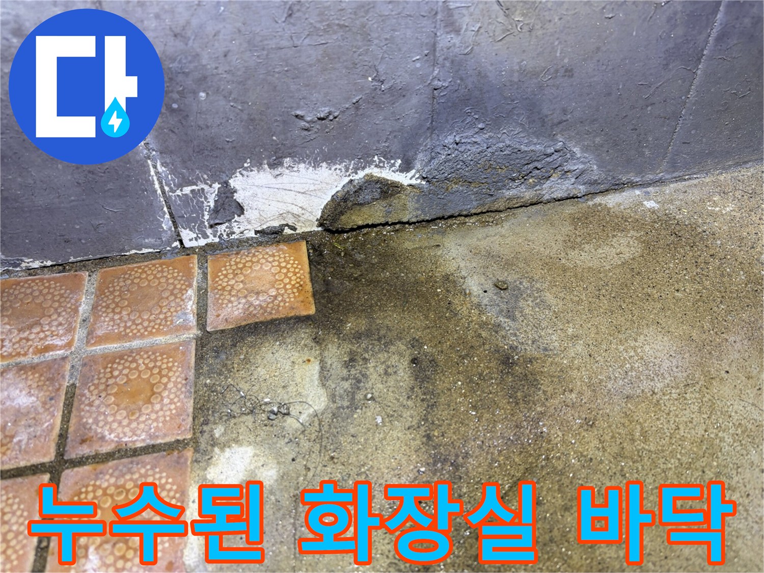 물기가-스며든-타일-경계부-확인