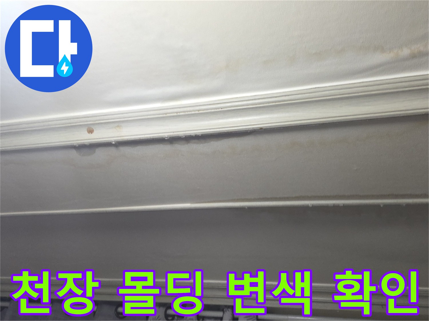 거실 천장 몰딩 주변의 물기 젖음 및 변색 부위