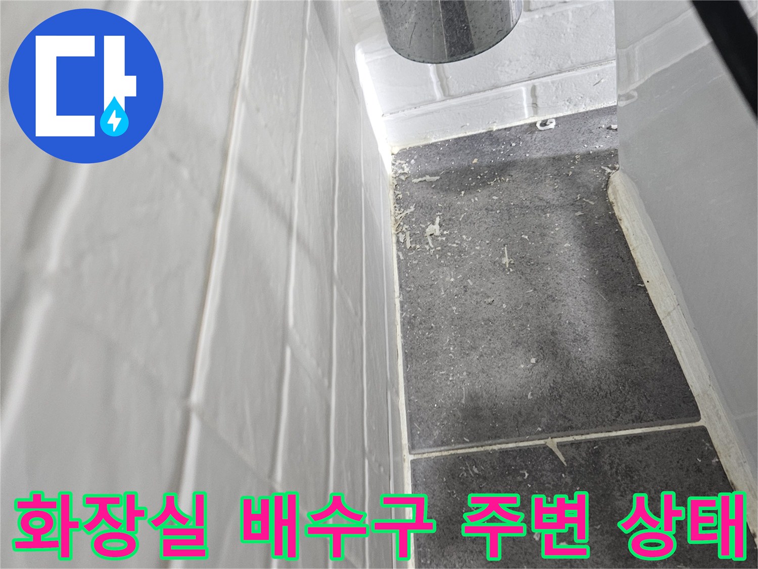양천구-화장실-배수구-주변-타일-상태-확인