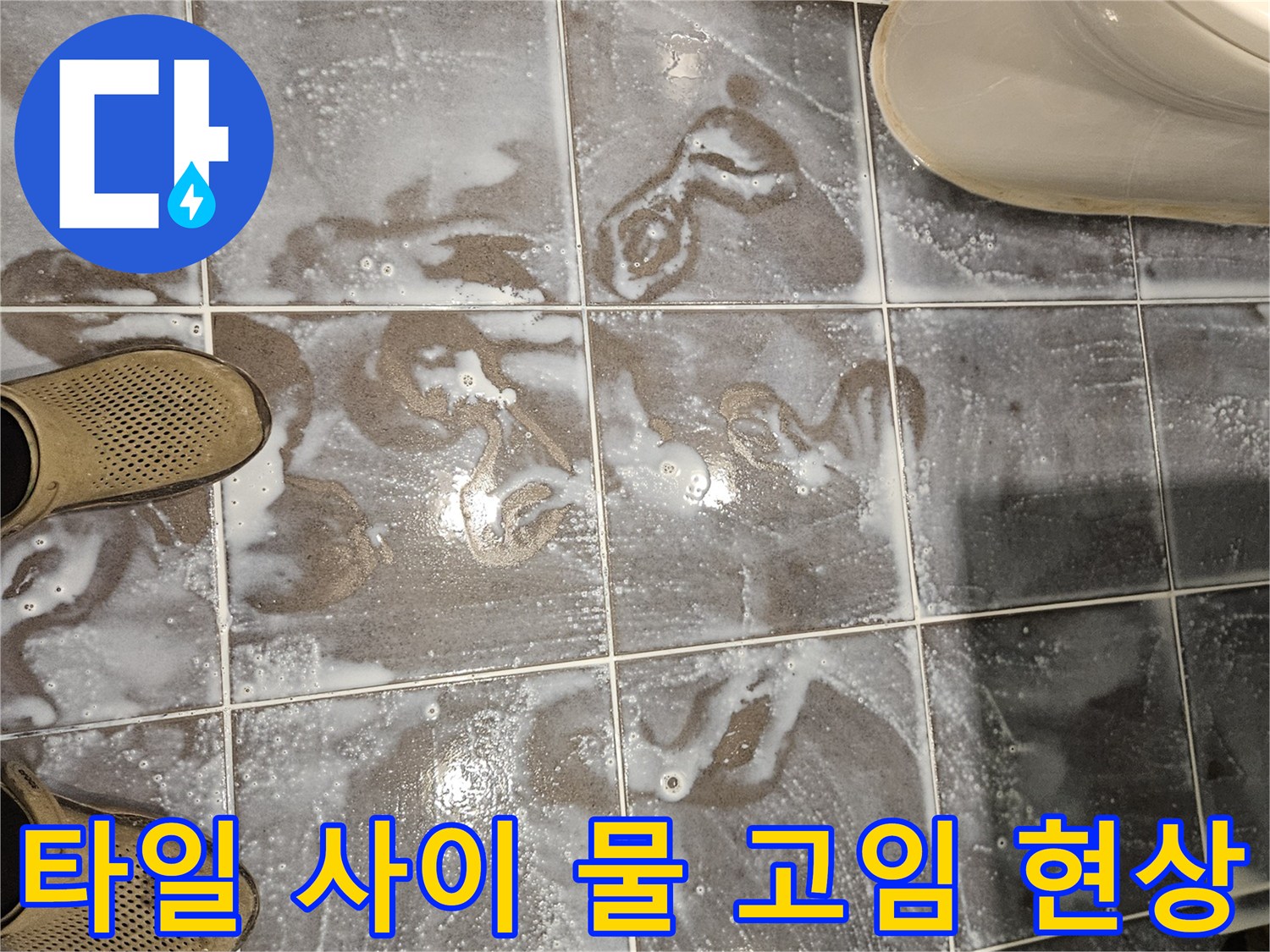 양천구 화장실-타일 틈새에 정체된 물기 확인