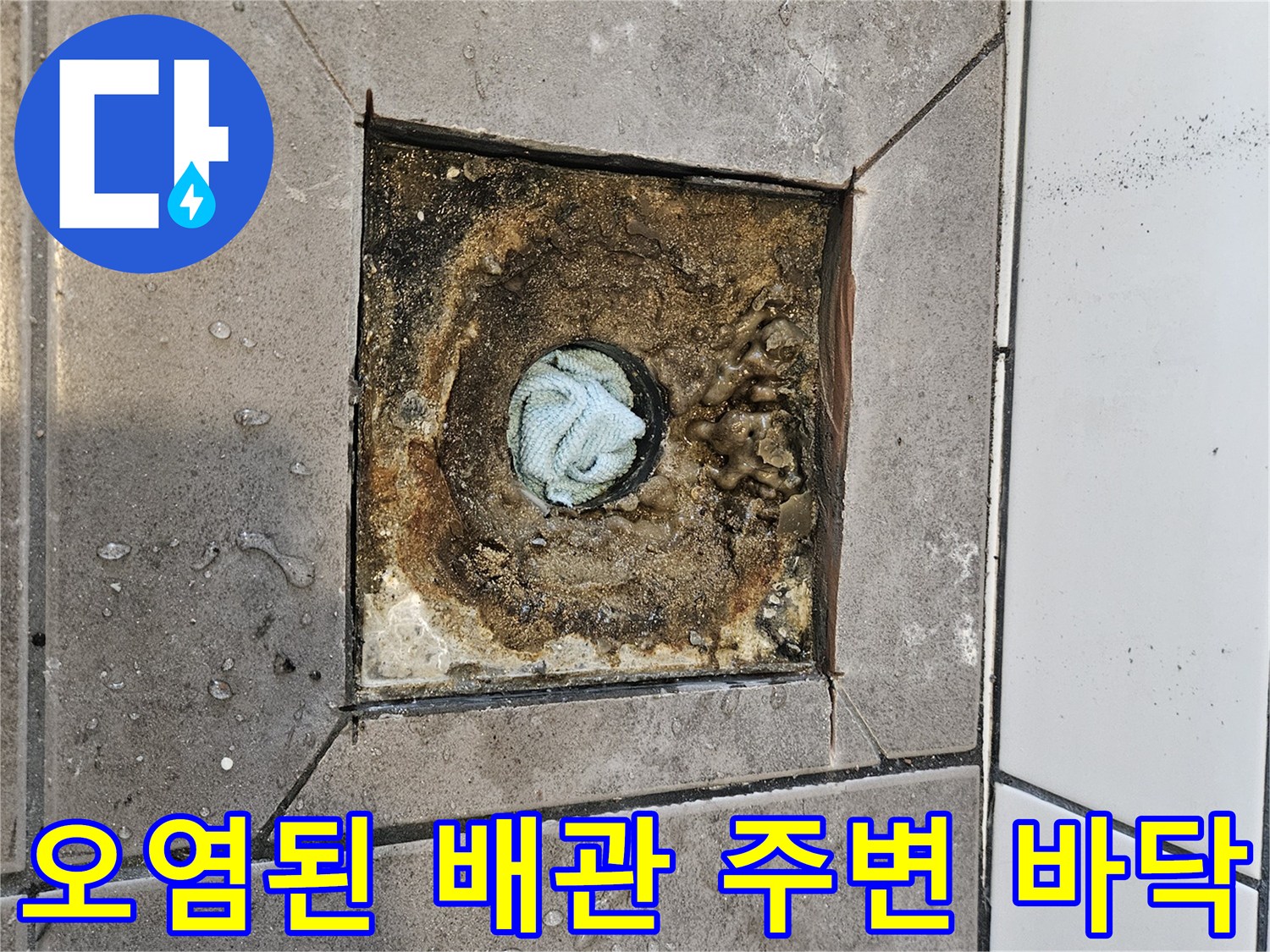 하수구-탈거-후-발견된-누수-지점