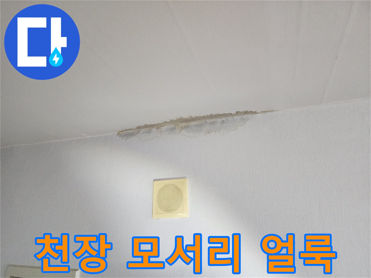 물샘-현상이-나타난-벽면-상단-부위