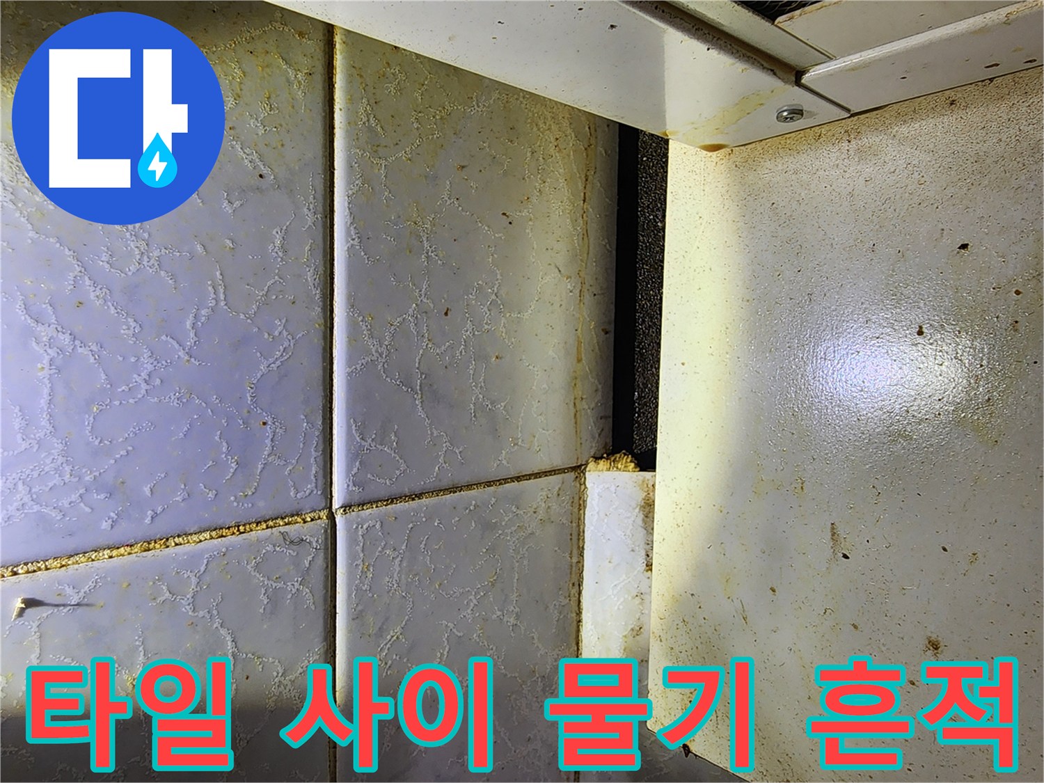 중랑구 현장-보일러실 타일 틈새에 배어있는 습기와 오염된 흔적